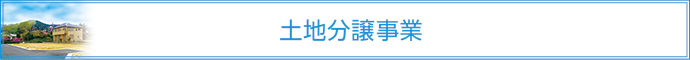 土地分譲事業