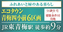 東青梅,分譲住宅（戸建て）建築条件付き売地「エコタウン青梅四小前」