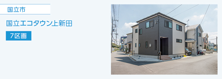 国立市,国立エコタウン上新田