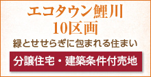 あきる野エコタウン鯉川,分譲住宅,建築条件付き売地,緑とせせらぎに包まれる住まい付き売地,緑とせせらぎに包まれる住まい