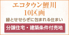 あきる野エコタウン鯉川,分譲住宅,建築条件付き売地,緑とせせらぎに包まれる住まい付き売地,緑とせせらぎに包まれる住まい