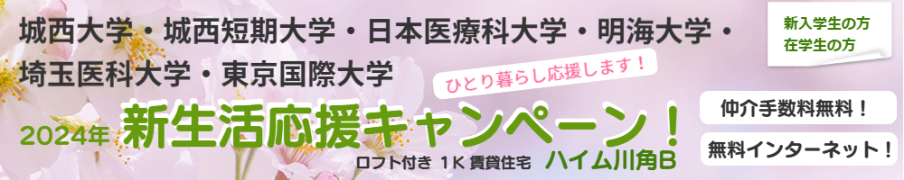 城西大学,日本医療科大学,明海大学,近隣低価格賃貸アパート